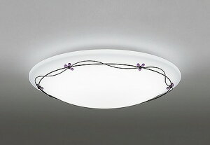 I[fbN R15 V[OCg `12 FLED F  Bluetooth OL251451BCR