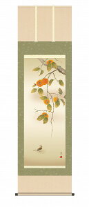 y[J[z | ̊ | _ `ɏ t ڌ