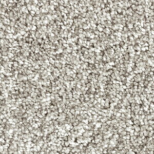 y[J[z J[ybg O }bg 176×261cm ]ˊ3 Vo[ EhERہEzbgJ[ybgΉEg[ΉERECXEh_jEVітoɂE{ 220123