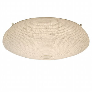 y[J[z a Ɩ aV[OCg nest(lXg) `8 _ LED F i SC-102-02 ʌfUC