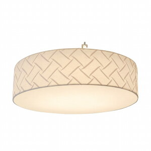 y[J[z a Ɩ aV[OCg disk(fBXN) `8 P DP LED F i SC-105 ʌfUC