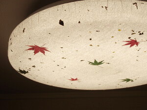 gX^[ aV[OCg 6 ݂ LED F i SCJ-0013-T