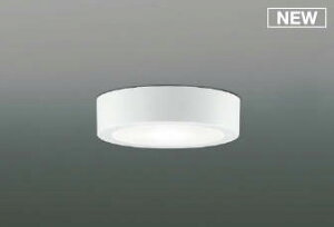 �R�C�Y�~ ���^�V�[�����O���C�g �z���C�g LED(�����F) AH52290