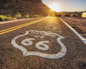 A[gpl Petit Canvas Art R66([h) 500x400mm ZPT-61550 Ǌ| G k _   rO