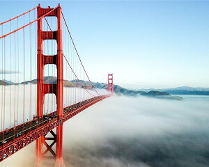 A[gpl Petit Canvas Art S[fQ[gubW 500x400mm ZPT-61615 Ǌ| G k _   rO