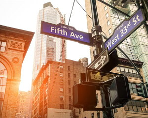 A[gpl Petit Canvas Art Fifth Ave. 500x400mm ZPT-61616 Ǌ| G k _   rO