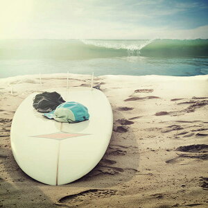 A[gpl Petit Canvas Art T[t{[h 300x300mm ZPT-61534 Ǌ| G k _   rO