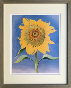 W[WAEIL[t Ђ܂ SUNFLOWER,NEW MEXICO,1935 G ŉ Ǌ|  z IGO-62781