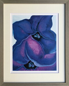 W[WAEIL[t PURPLE PETUNIAS,1925 G ŉ Ǌ|  z IGO-62783