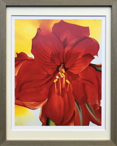 W[WAEIL[t RED AMARYLLIS,1937 G ŉ Ǌ|  z IGO-62784