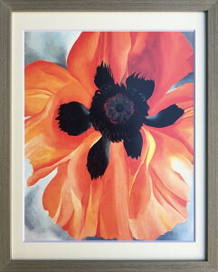 W[WAEIL[t RED POPPY,NO.VI,1928 G ŉ Ǌ|  z IGO-62786