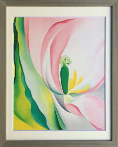 W[WAEIL[t PINK TULIP,1926 G ŉ Ǌ|  z IGO-62788