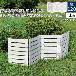 y[J[z  O  ډB ܂߂Ebh~jtFX({[_[)1g zCg WF-120YK-WHT
