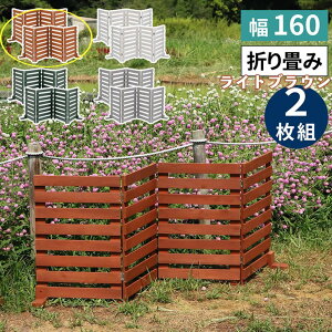 y[J[z  O  ډB ܂߂EbhtFX160({[_[)2g CguE WF-160YK-2P-LBR