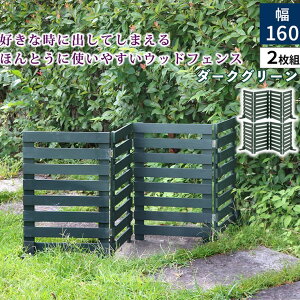 y[J[z WF-160YK-2P-DGN  O  ډB ܂߂EbhtFX160({[_[)2g _[NO[