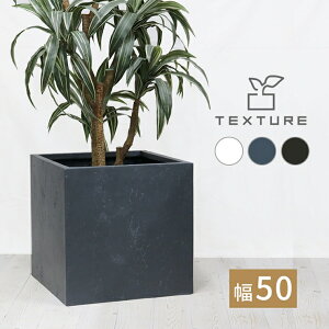y[J[z  O  }OlVAv^[ TEXTURE(eNX`[) p^50cm O[ TEX-500C-GRY