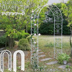 y[J[z  ACAA[` ubTn[g zCg IA-BH005WHT  킢  K[fjO 