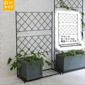 y[J[z  v^[ttFX A[KC ubN [^Cv IF-FP006BLK K[fjO g  d؂