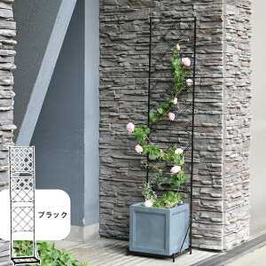 y[J[z  v^[ttFX A[KC ubN X^Cv IF-FP017BLK K[fjO g  d؂