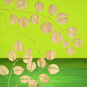 G  ؐ ؒ Ebh XJv`[ A[gu[JiGR+NPjv SA-15092