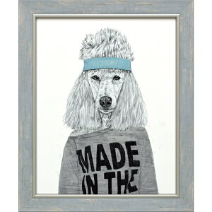 G ŉ z  oYX VeBuGCeB[Y rb`v BS-12001   킢 