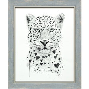 G ŉ z  oYX VeBuu[ p[hv BS-12002 qE Ђ傤 ^  