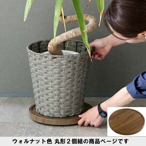 y[J[z  킢 u ԑ K[fjO  ^ RpNg  Vv LX^[t VRfޒ̃}`g[ 2Zbg ی^30cm EHibg TR-CS-2P-300B