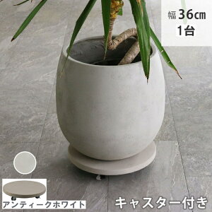 y[J[z  Zg LX^[t v^[L[ 36cm AeB[NzCg TR360WHT