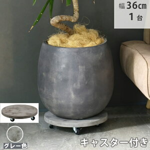 y[J[z  Zg LX^[t v^[L[ 36cm O[ TR360GRY