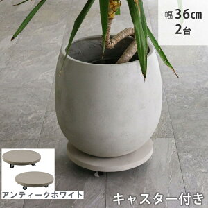 y[J[z  Zg LX^[t v^[L[ 36cm 2g AeB[NzCg TR360-2P-WHT