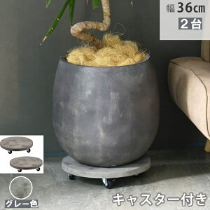y[J[z  Zg LX^[t v^[L[ 36cm 2g O[ TR360-2P-GRY