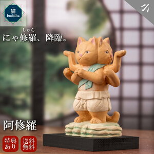 y݌ɗL [z yTtz 킢 ؒ u  Lbuddha C T00545 ˂ lR  [bsOI]