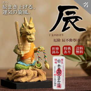 y݌ɗL [z yFETtz 킢 ؒ u   xs() Cs T00551  CN  [bsOI]