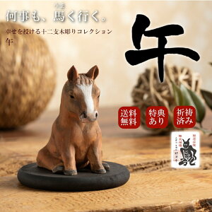 y݌ɗL [z yFETtz 킢 ؒ u  \xؒRNV  T00923-G n  ߔN  [bsOI]