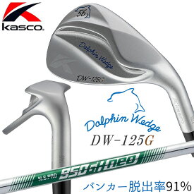 キャスコ Kasco DOLPHIN WEDGE DW-125G ドルフィン ウェッジ イチ・ニイ・ゴー・ジー（セミグースネック） クロムメッキ メンズ 右用 N.S.PRO 950GH neo スチールシャフト [日本正規品] [2025年モデル]