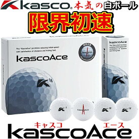 楽天市場 キャスコエース ボールの通販