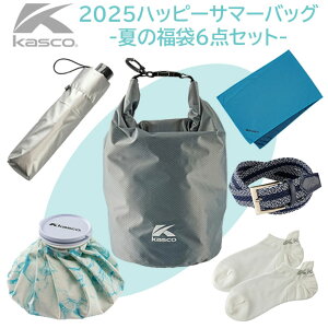 LXR 2025 nbs[T}[obO 6_Zbg }`obO xg ^I P \bNX XX  St Kasco P Lv sNjbN C X|[cϐ U MǑ΍ 싅 ejX 