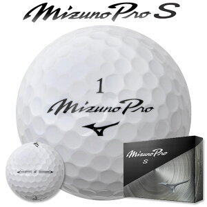 ~Ym St{[ ~Ymv S 5NJBT83510 1_[X(12) Mizuno Pro S