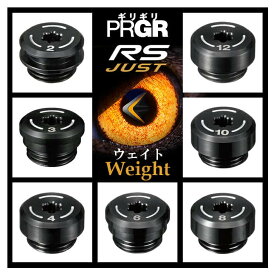 PRGR プロギア RS ジャスト ドライバー シリーズ専用 ウェイト 2g/3g/4g/6g/8g/10g/12g RS JUST ドライバー シリーズ専用 ウェイト BW1278【ネコポス便対応】 2022年モデル