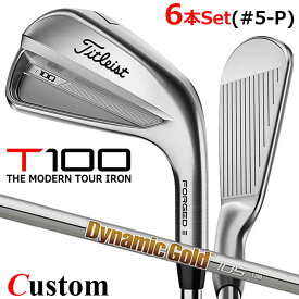 【メーカーカスタム】タイトリスト T100 2023 アイアン 右用 6本セット(#5-P) Dynamic Gold 105 スチールシャフトTitleist 日本正規品