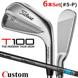 【メーカーカスタム】タイトリスト T100 2023 アイアン 右用 6本セット(#5-P) TENSEI AV AM2 BLUE カーボンシャフトTitleist 日本正規品