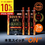 【10%OFFクーポン】燃焼系サプリ ダイエットサプリ L-カルニチン α‐リポ酸 必須アミノ酸BCAA配合 カプ…