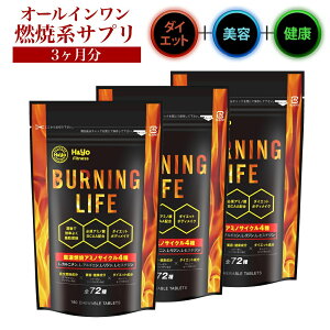 RČnTv _CGbgTv L-Jj` ]|_ K{A~m_BCAAz JvTCV ^̔RĂ̓T|[g NEW BURNING LIFE 180x3 _CGbg Tvg eTv