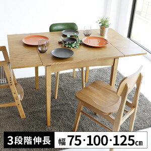 yőSz^_I11/25œIm21z_CjOe[u L 2l| ؐ ` _CjOp He[u  Lk ؖڒ L k 75cm 100cm 125cm VR Pi 4l