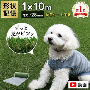 ym21IőSz 11/1zyK̔Xz[^[t AIRlH 1m×10m [ Ő A lHŐ ͂ l ŏ28mm O   x_  hbN  T