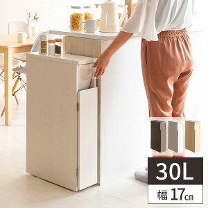 薄型 ゴミ箱の人気商品 通販 価格比較 価格 Com