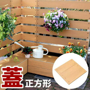y{/ۏ؁zv^[{bNXtp ډBtFX  W ӂ t^@32cm ` lH