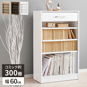 ygN[|zzz{I RpNg e   {  }K [ I R~bNbN ɖ{ ubNVFt ؐ 60cm [I o ^ 100cm zCg 