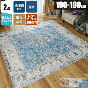 【すぐ使える300円クーポン配布中】ラグ 洗える 正方形 190×190cm ヴィンテージ風 オリエンタル 2畳 エスニック ペルシャ風 ペルシャ絨毯風 毛足が短い おしゃれ メダリオン 洗濯機で洗濯 丸洗