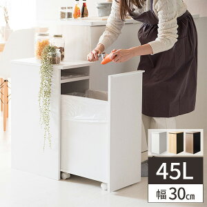 ym21IőSz 11/1zS~ ݔ _Xg{bNX 45bg Lb` rO LX^[t 45l ؖ k  S~oR 70cm Ƌ S~ɌȂ 